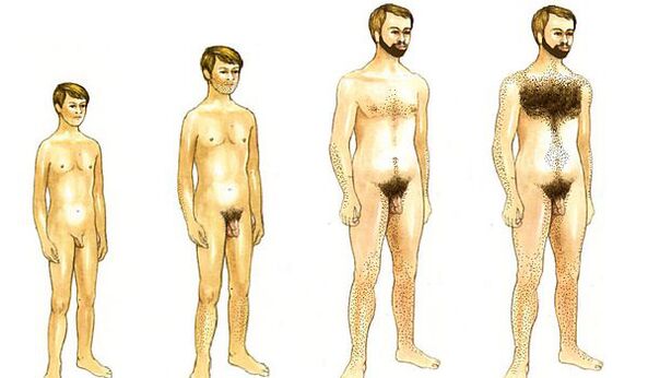 дорослішання чоловіка і розміри статевого органу