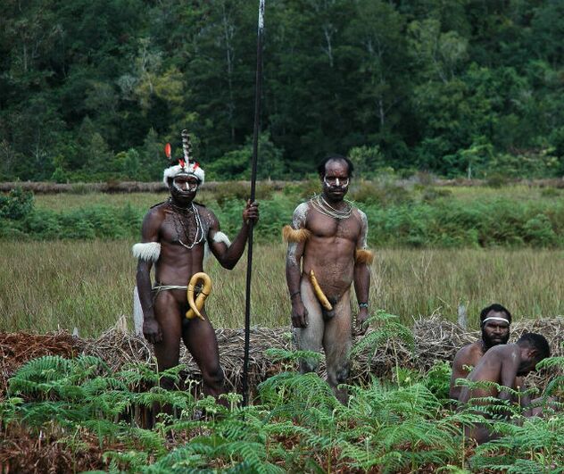 аборигени зі збільшеними членами